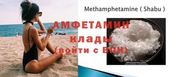 индика Долгопрудный