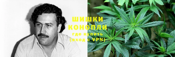 индика Долгопрудный
