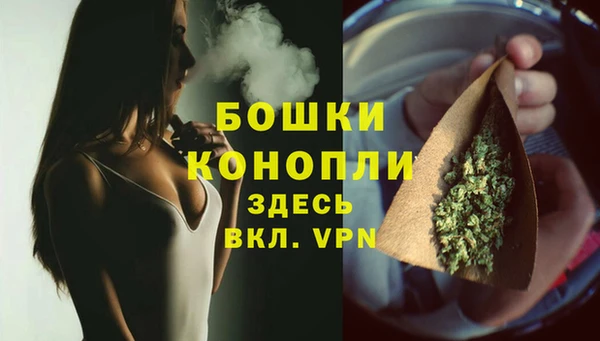 индика Долгопрудный