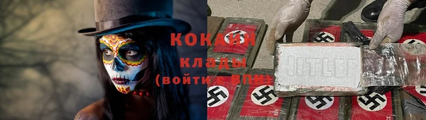 индика Долгопрудный