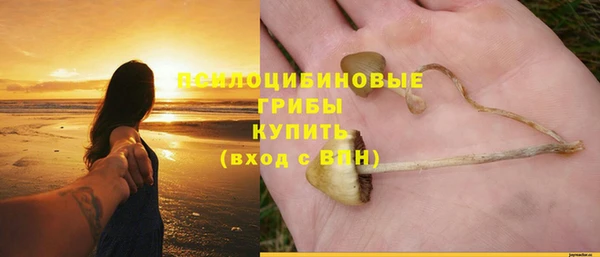 индика Долгопрудный