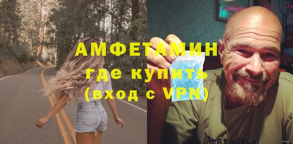 индика Долгопрудный