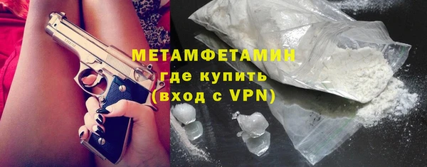 индика Долгопрудный