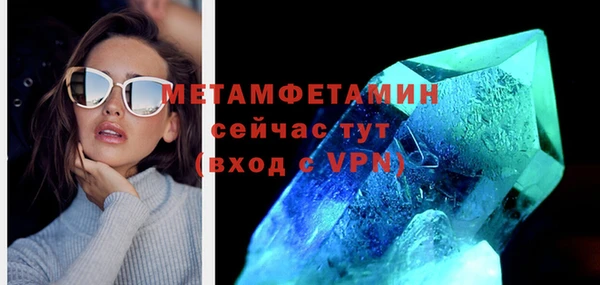 индика Долгопрудный