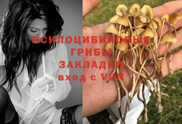 молекула духа Домодедово