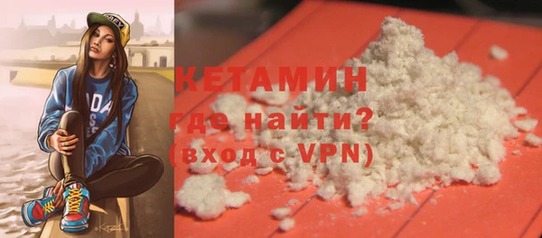 индика Долгопрудный